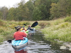 IMG 4591